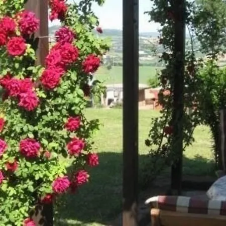 Ferienhaus In Mit Grill Und Garten
